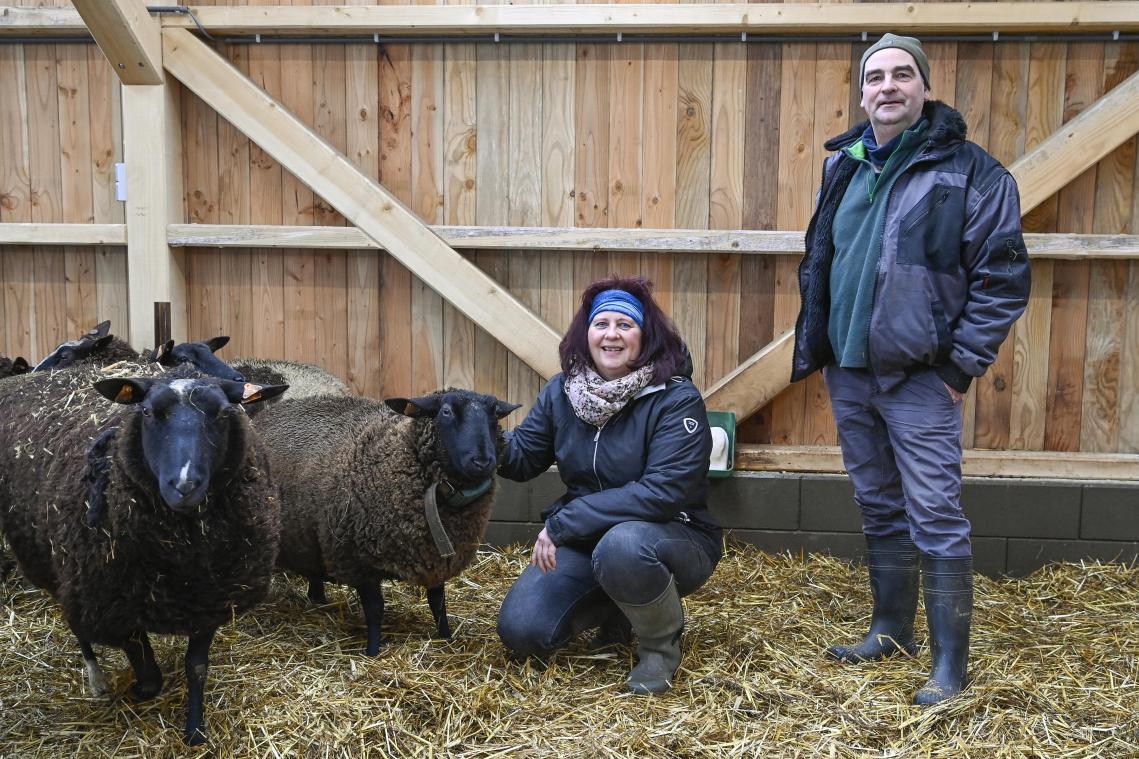 <p>Seit 25 Jahren halten Marko Els und Martina Lux Schafe. Im Herbst haben sie für ihre Tiere einen neuen Stall gebaut, den sie am Abend verschließen können.</p>
