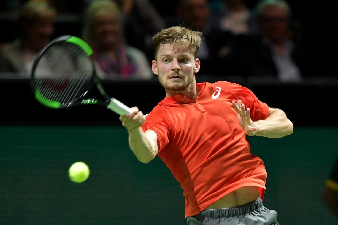 <p>David Goffin</p>