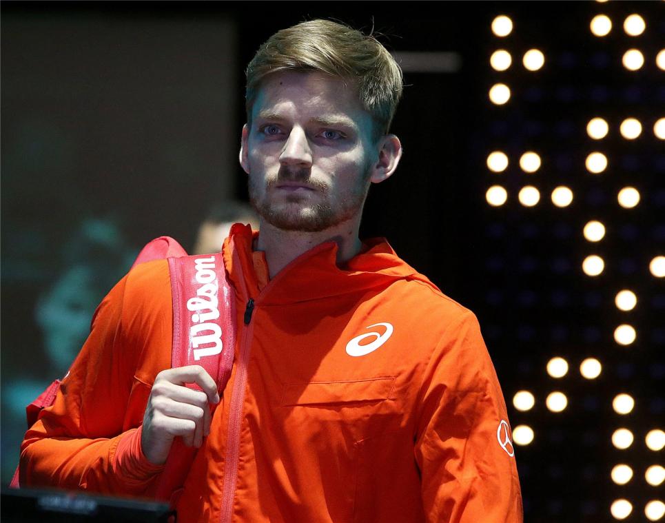 <p>Wieder Schlappe für Goffin</p>
