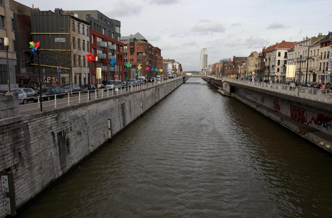 <p>Im Brüsseler Kanal gibt es - in geringen Mengen - potenziell giftige Blaualgen.</p>