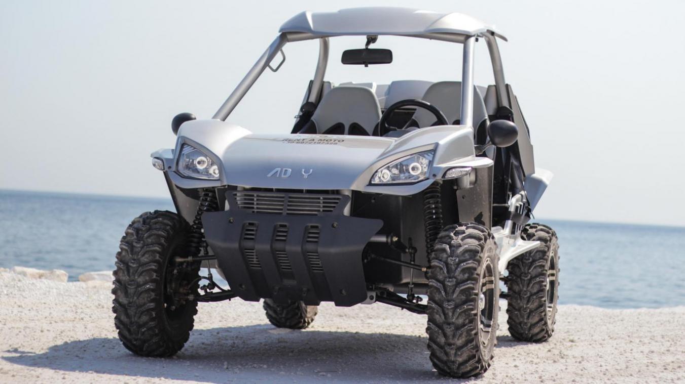 <p>Bei dem Wagen handelte es sich um einen Jeep Buggy.</p>