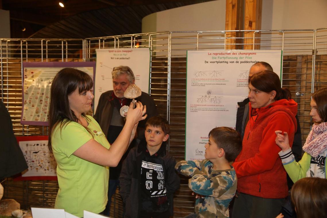 <p>Die Pilzexpertin Sarah Pieper von Natagora/BNVS begutachtete Pilze, die Besucher zum Pilzfest ins Naturparkzentrum Botrange mitgebracht hatten.</p>