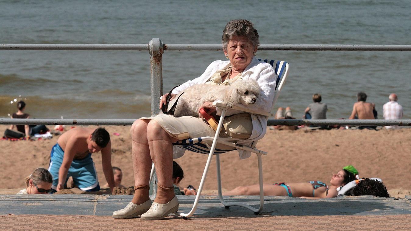 <p>Erstmals bewachter Hundestrand an der Küste</p>
