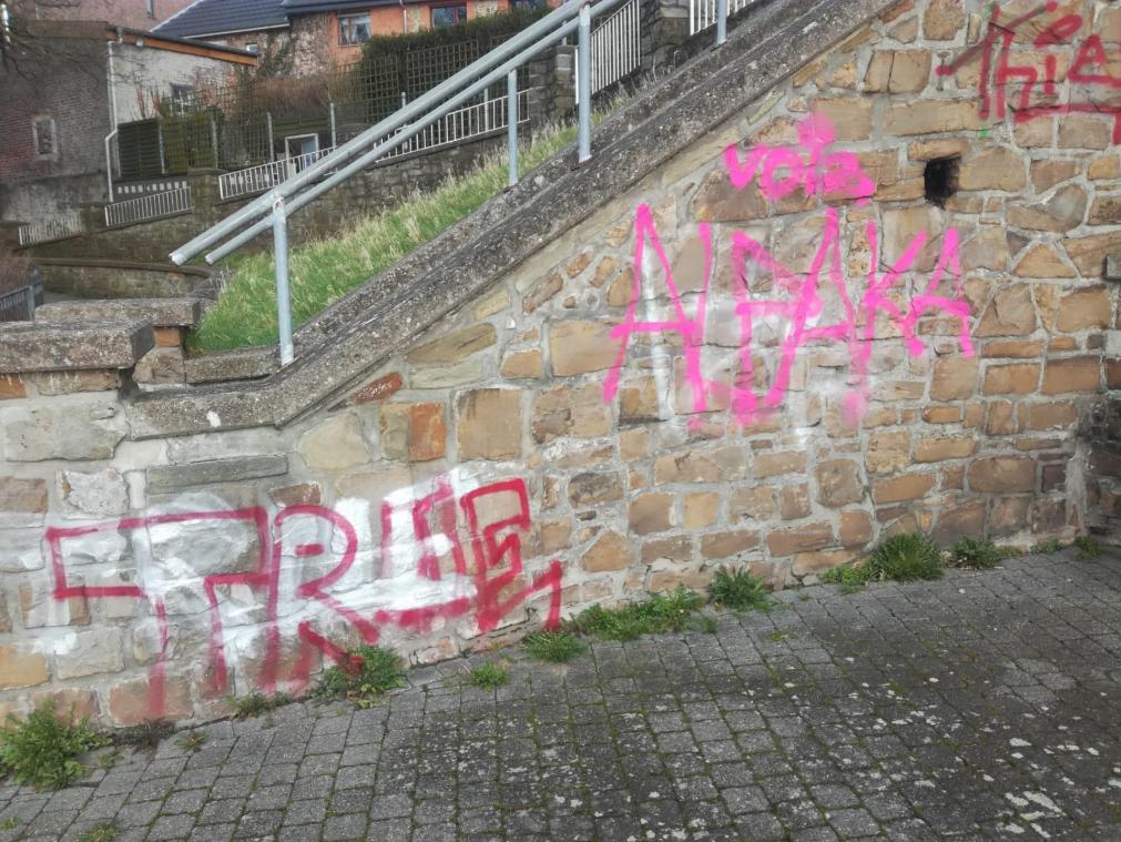 <p>Eine Aufnahme von der Moorenhöhe in Eupen.</p>
