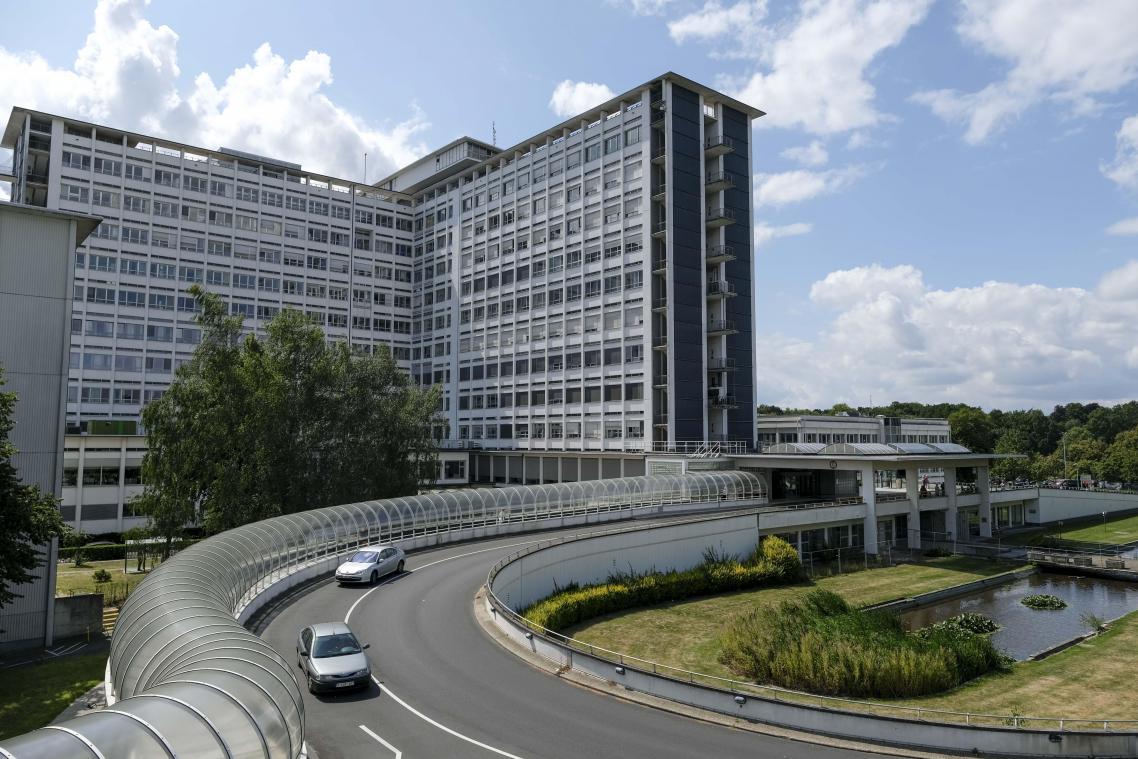 <p>Das Krankenhaus Middelheim in Antwerpen</p>