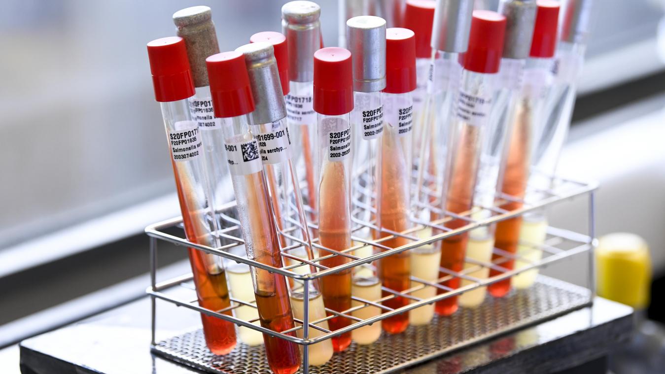 <p>85 neue Coronavirus-Infektionen in Belgien bestätigt</p>
