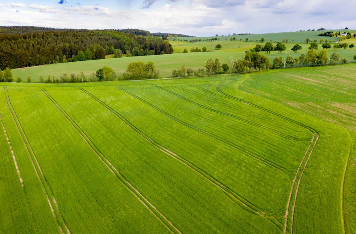 <p>NGOs fordern Belgien auf, die Agrarökologie zu stärken</p>
