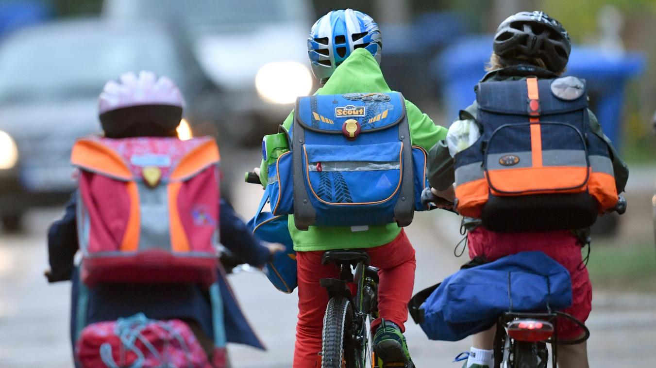 <p>37 Prozent aller Schüler fahren mit dem Rad zur Schule</p>
