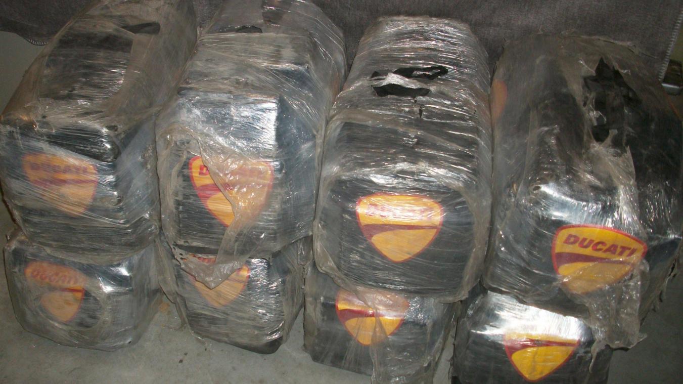 <p>Beschlagnahmtes Koks aus dem Antwerpener Hafen.</p>