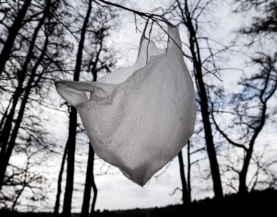 <p>Plastiktüten sollen nach den Vorstellungen der Eupener Stadtverantwortlichen künftig aus den hiesigen Geschäften weitestgehend verschwinden. Ihren Platz könnten künstlerisch gestaltete Stofftaschen einnehmen.</p>