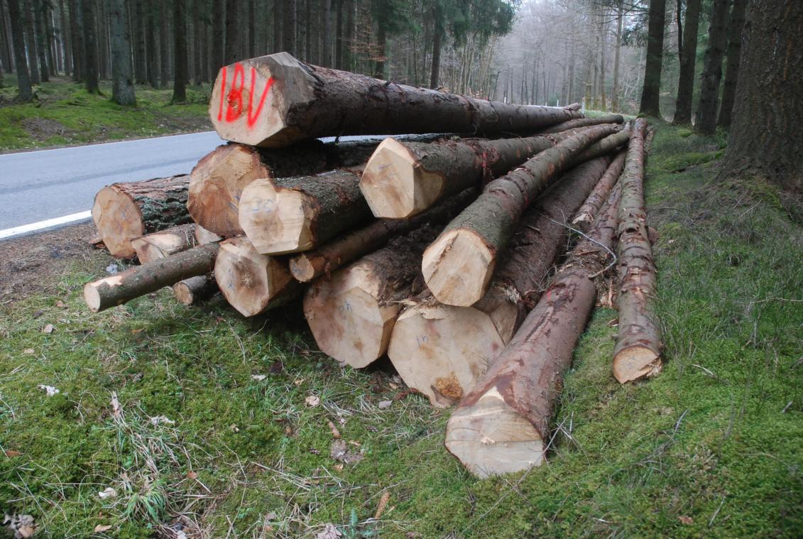 <p>Der Ertrag aus dem Holzverkauf wirkte sich positiv auf die Finanzlager der Gemeinde St.Vith aus.</p>