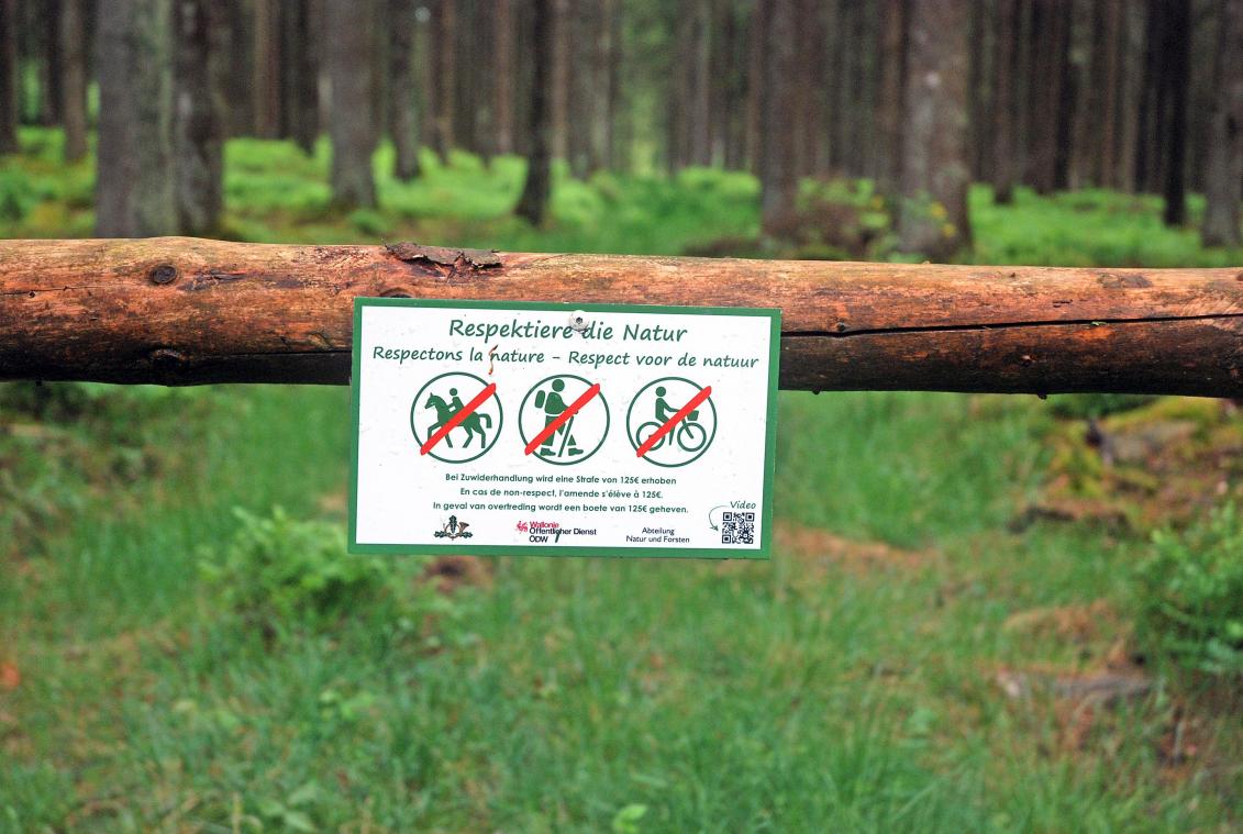 <p>Mit diesen Hinweisschildern werden Waldbesucher auf dem Gebiet des Forstamtes Büllingen neuerdings daran erinnert, dass Unbefugten der Zutritt zu Schneisen und Rückegassen verboten ist.</p>