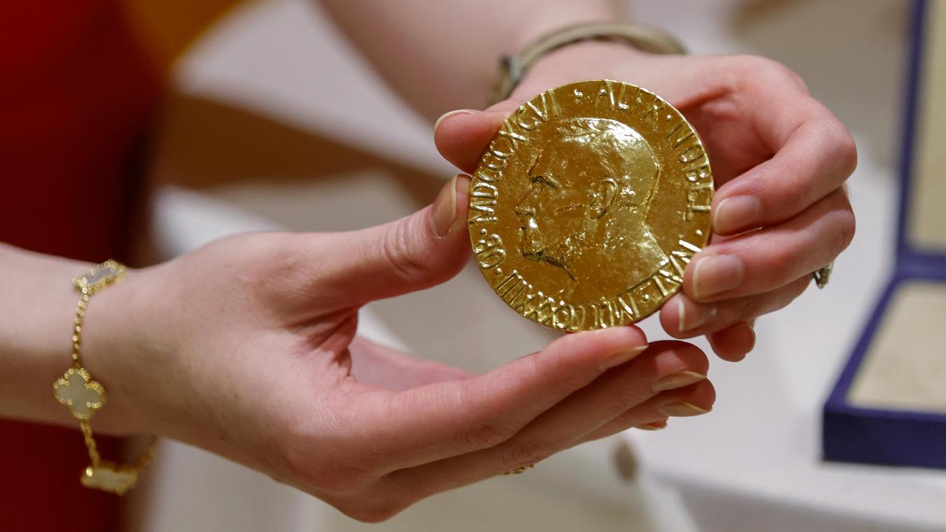 <p>Die 23-karätige Goldmedaille des russischen Journalisten Dmitri Muratow</p>