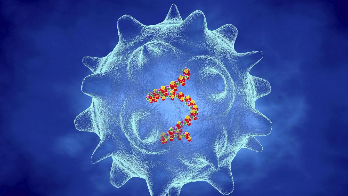 <p>Illustration eines Norovirus</p>