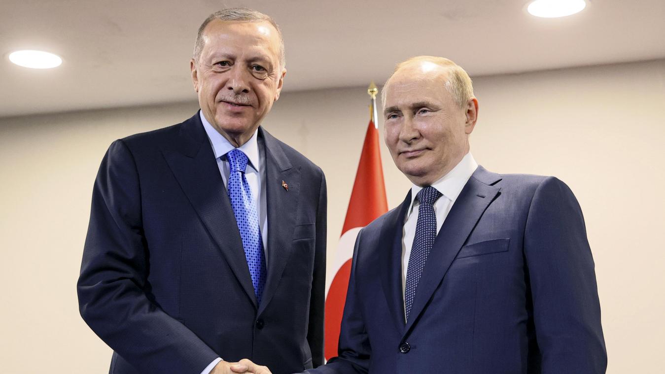 <p>Das von der staatlichen russischen Nachrichtenagentur Sputnik über AP veröffentlichte Bild zeigt Wladimir Putin (rechts), und Tayyip Erdogan während ihres Treffens im Saadabad-Palast im Juli 2022.</p>