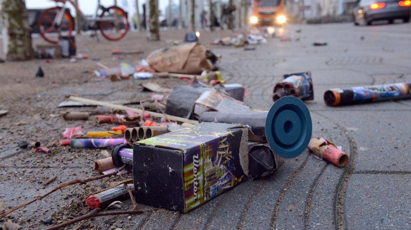 <p>Viele Menschen lieben es, wenn es knallt und die Funken nur so sprühen. Das gilt für die wenigsten Tiere. Sie werden nicht nur von Lärm und Licht gestört und von den Raketen bedroht, auch die Reste unseres Feuerwerks können für sie noch gefährlich sein.</p>