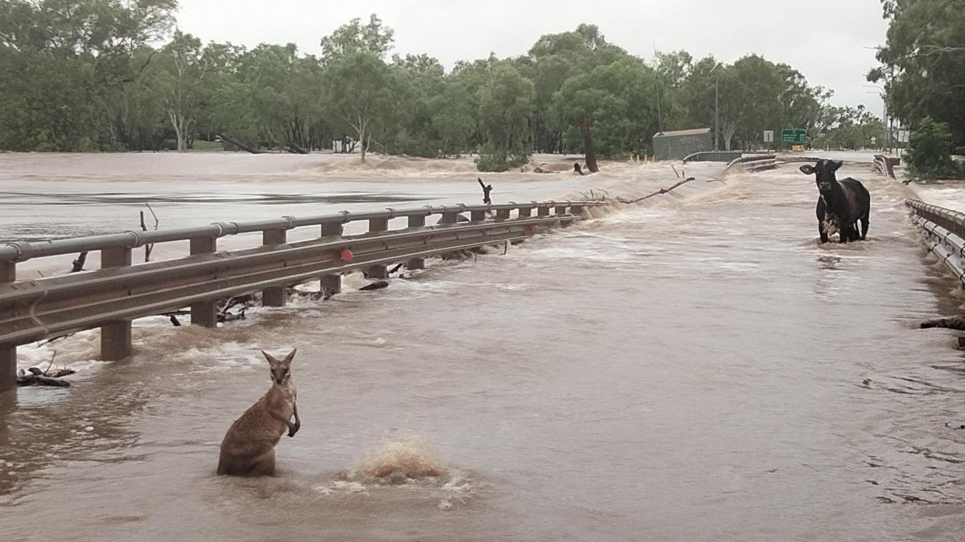 <p>Weiter Extremwetter in Australien: Fluten, Blitze und Buschbrände</p>