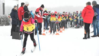 <p>Belgische Meisterschaft im Ski-Langlauf (Kurzdistanz) in Elsenborn</p>
