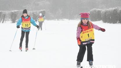 <p>Belgische Meisterschaft im Ski-Langlauf (Kurzdistanz) in Elsenborn</p>
