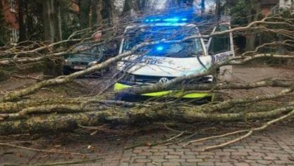 <p>Erste Schäden in Belgien durch Ciara</p>
