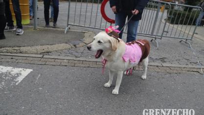 <p>Kinderzug in Kelmis am Karnevalssamstag</p>
