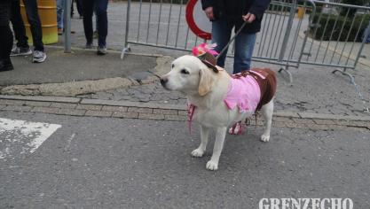 <p>Kinderzug in Kelmis am Karnevalssamstag</p>
