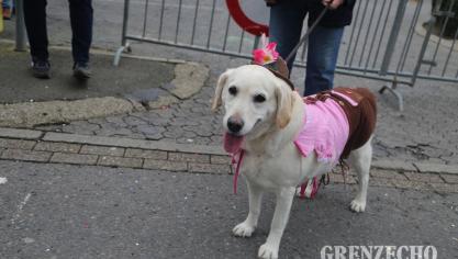 <p>Kinderzug in Kelmis am Karnevalssamstag</p>
