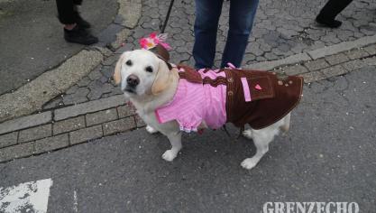 <p>Kinderzug in Kelmis am Karnevalssamstag</p>
